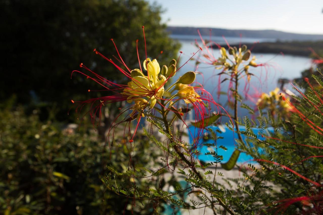 Resort Haus Toma Cesarica Kültér fotó