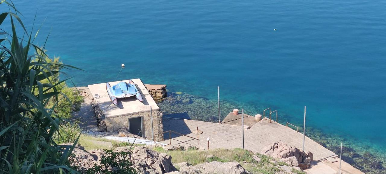 Resort Haus Toma Cesarica Kültér fotó