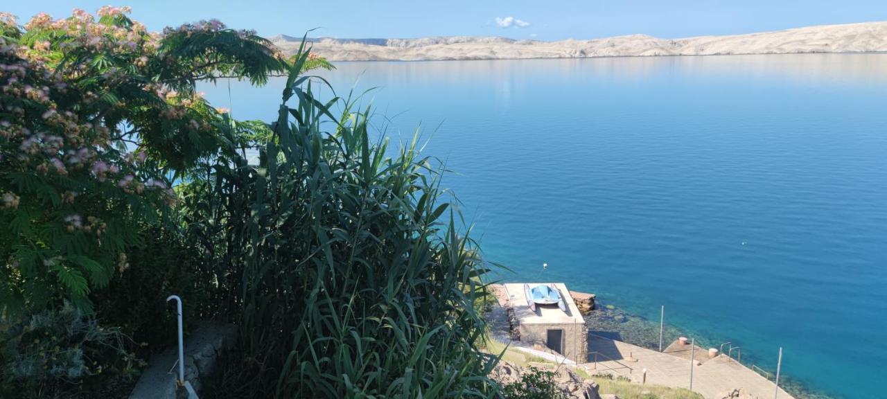Resort Haus Toma Cesarica Kültér fotó