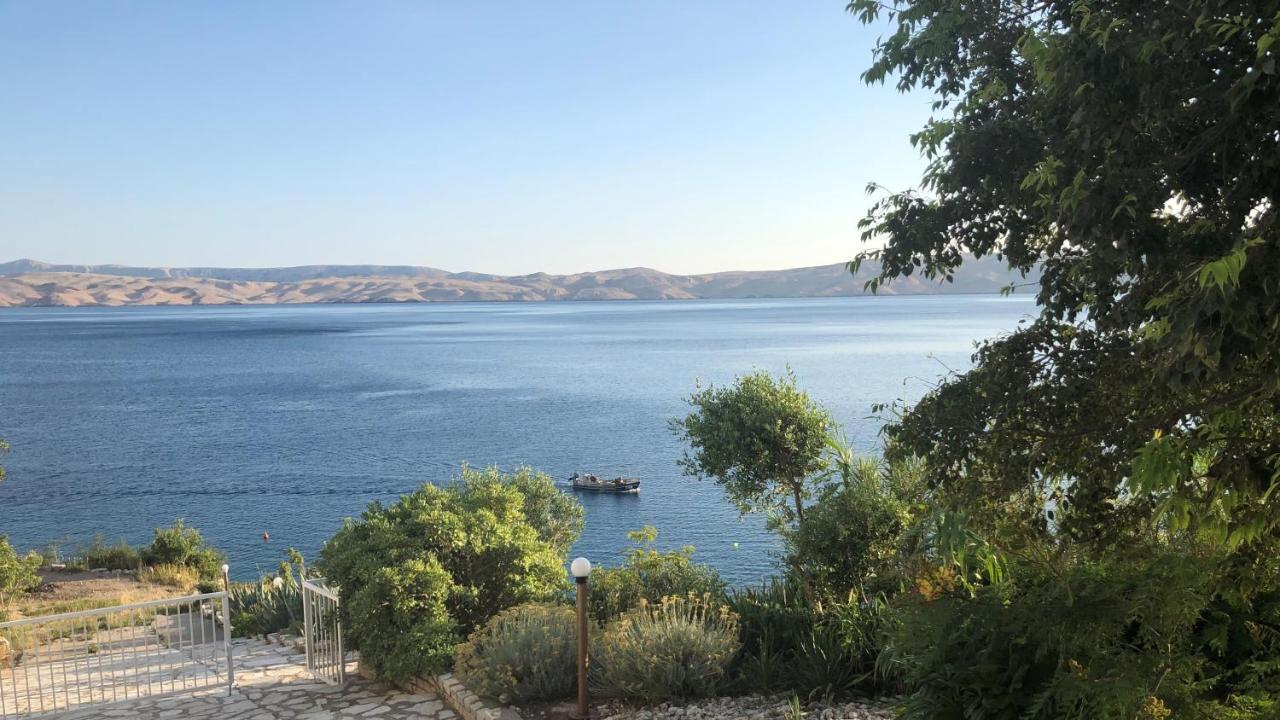 Resort Haus Toma Cesarica Kültér fotó