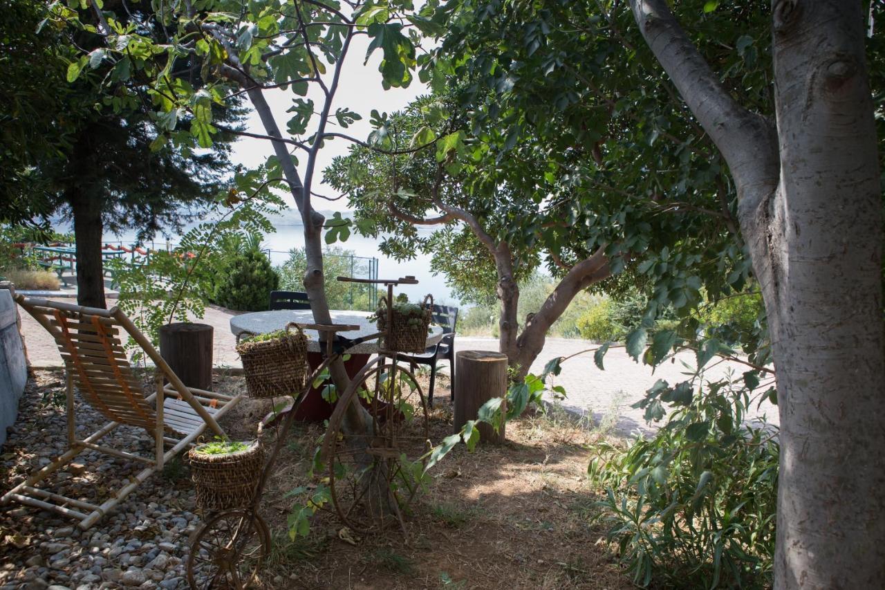 Resort Haus Toma Cesarica Kültér fotó